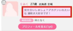 北海道 27歳 見せ合い好きの女性